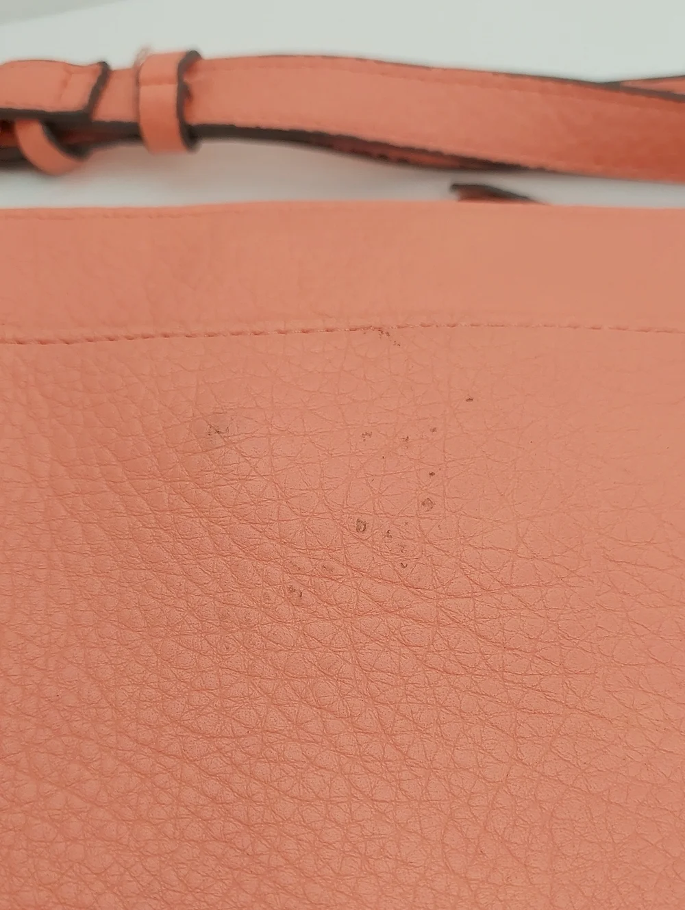 Rosetti stylish coral